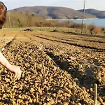 Lantgård Le Ceregne Bio Pieve Santo Stefano