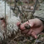 Le Ceregne Bio *